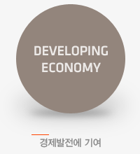 DEVELOPING ECONOMY  ⿩